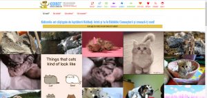 Am schimbat homepage-ul la Kidibot. E mai amuzant acum. :D