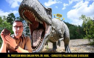 Ce evenimente online vrei să facem?