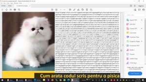 Cum a fost la cursul ”Despre Bio-Programarea Genetică”