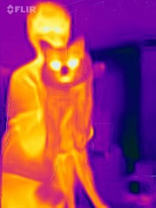 Cum a fost ieri la Kidibot Thermo Detectives