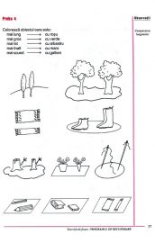 Matematica- Micii exploratori