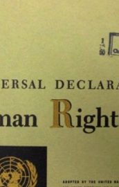 Drepturile Omului