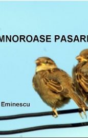 Somnoroasa păsărele