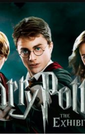 Test – Harry Potter 2