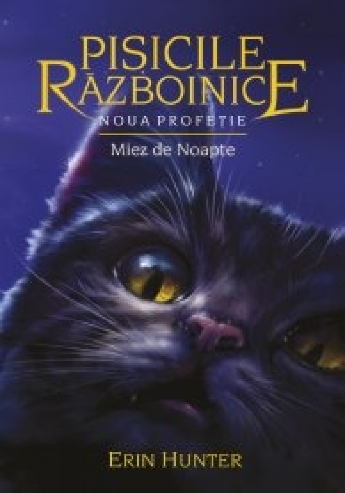 Pisicile Razboinice Profetie Neimplinita Vol 1 Soare Si Luna Capitolul 1 Wattpad