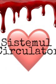 Sistemul Circulator