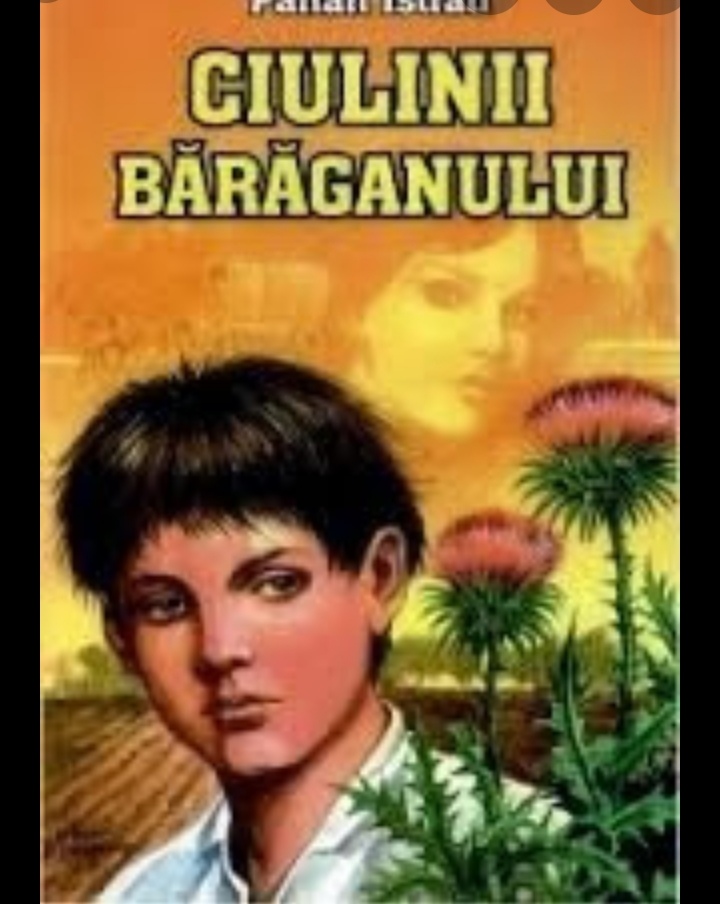 Image result for ciulinii baraganului