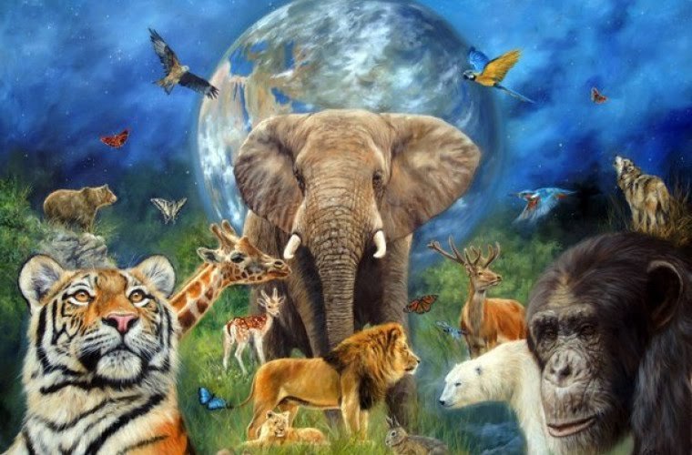 10 curiozitati despre animale