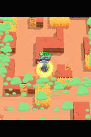 Cât de bine Cunoști brawl stars