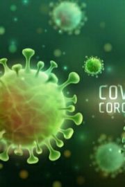 Coronavirus quiz
