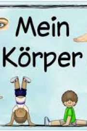 Mein Körper