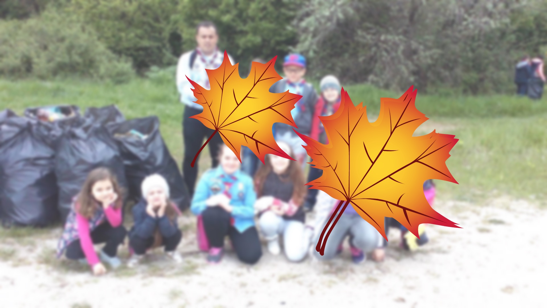 Actiuni de ecologizare