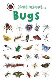 Being a bug quiz