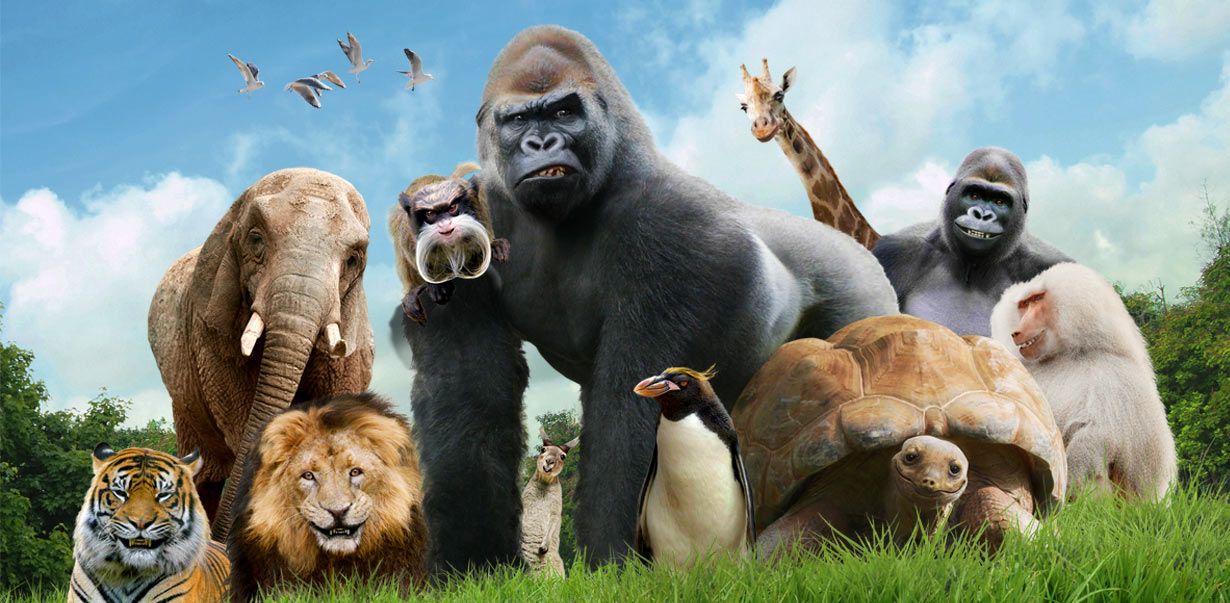 La Zoo KIDIBOT Bătăliile Cunoașterii