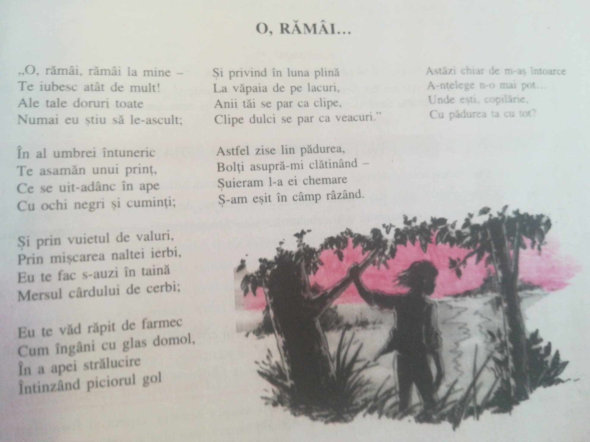 O Ramai Cetățenie puritate mânecă elemente cadru natural sdin poezia o ramai