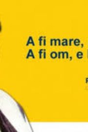 PROVERBE ÎNDRĂGITE