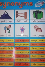 Synonyms in English