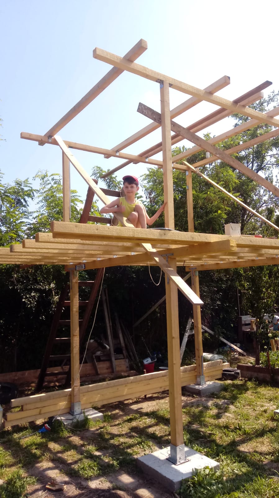 Căsuța din grădină