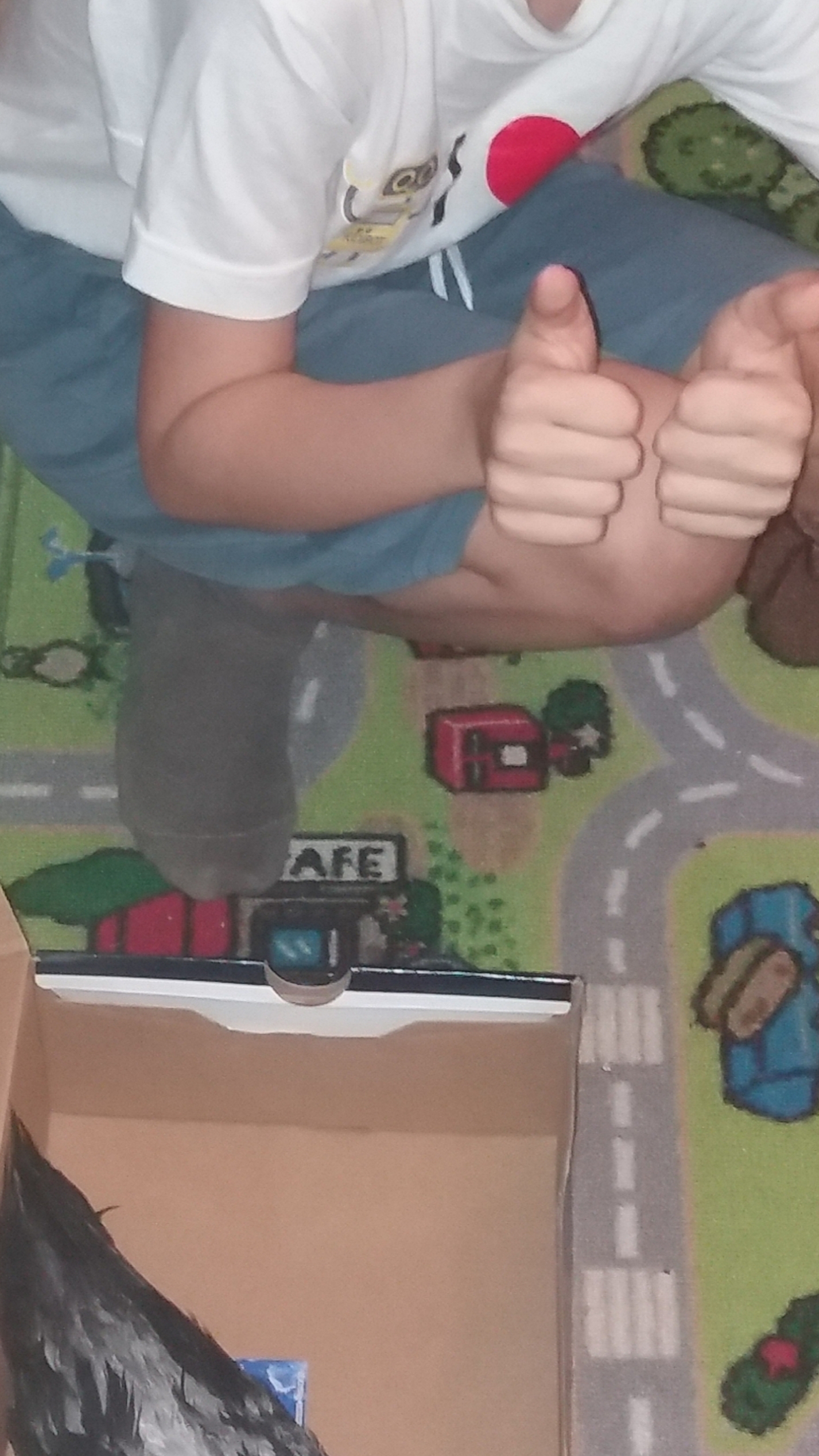 Am salvat un porumbel