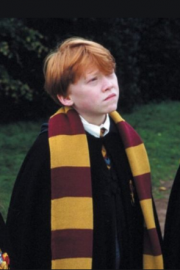Harry Potter  – [80]