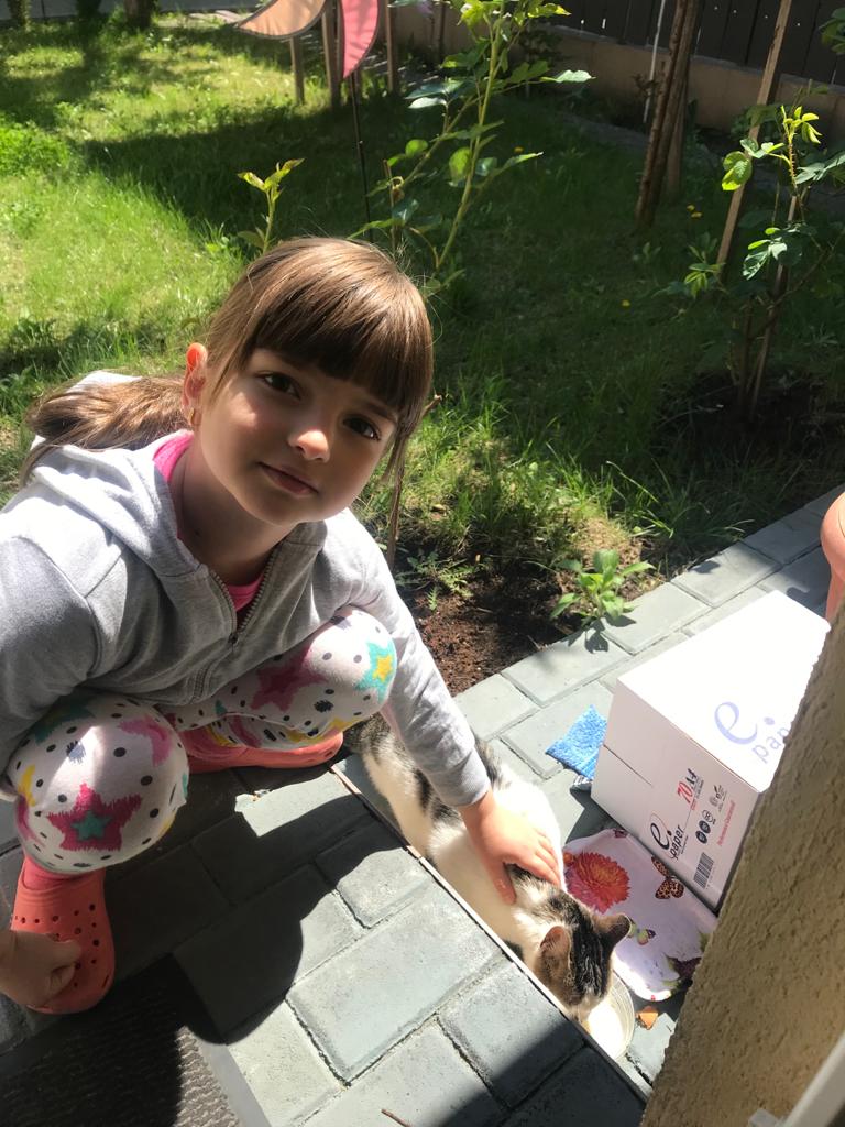 Am ajutat o pisica de pe strada care nu avea familie – [2]