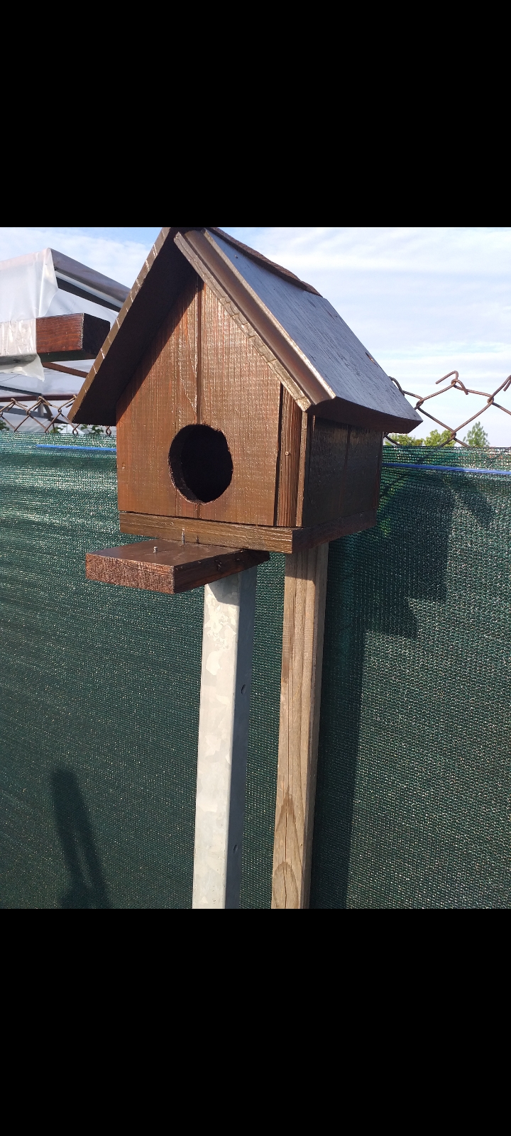 Am făcut o casa pentru pasarele!