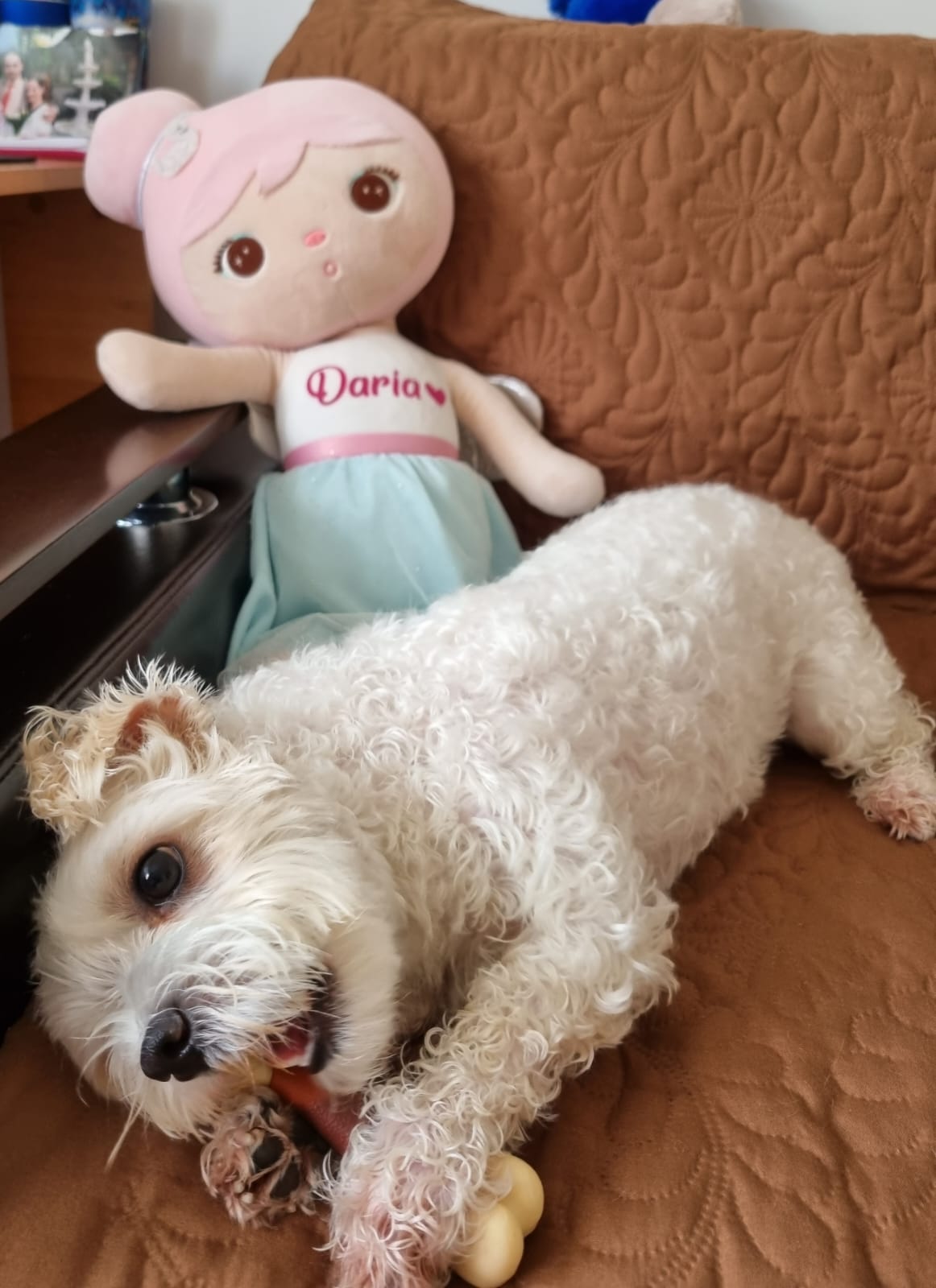 Baie catelusului meu