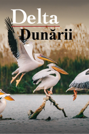 Rezervația Delta Dunării